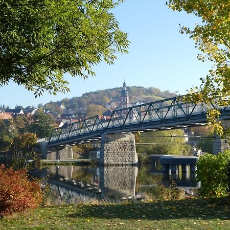 Ifam - Ihr Ferienhaus Am Main Zellingen Экстерьер фото